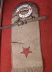 odznak sk slavia praha - lyzarsky oddil